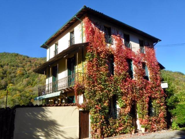 Le Grand Chalet Aspet Εξωτερικό φωτογραφία